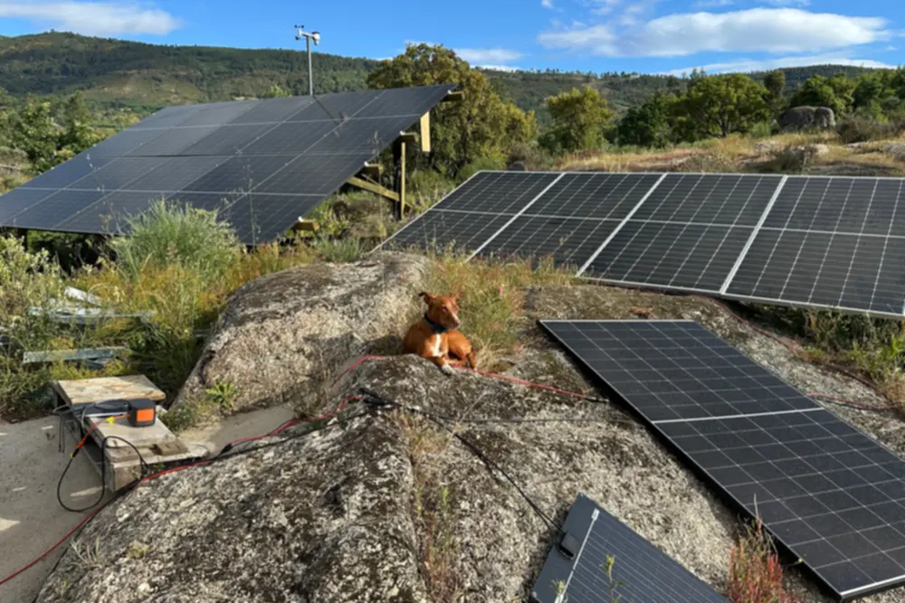 Solarmodule auf Felsen in freiem Gelände, die Anlage steht weit weg vom Haus